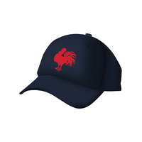Sydney Roosters 2020 NRL ISC Navy Media Cap (Adjustable)