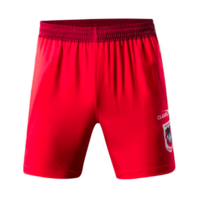 St George Illawarra Dragons 2021 NRL Training Shorts (S - 5XL)